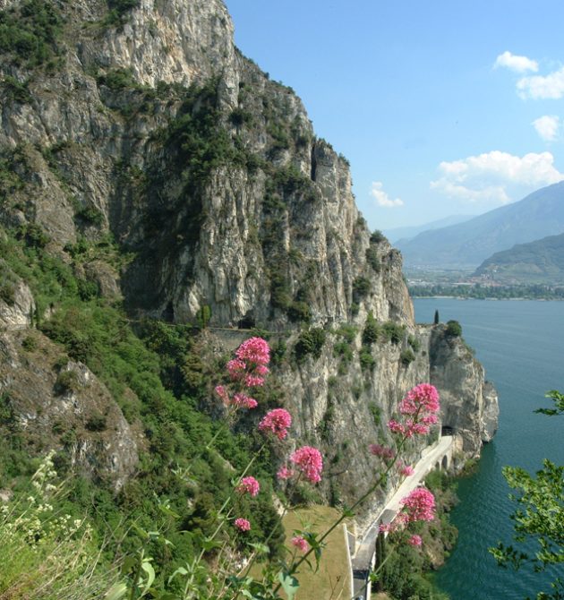 1 Ponale